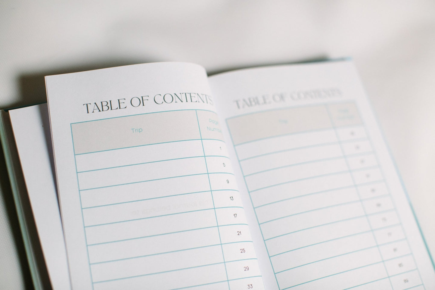 Trek & Treasure - Your Personal Travel Journal - Prep and Reflect