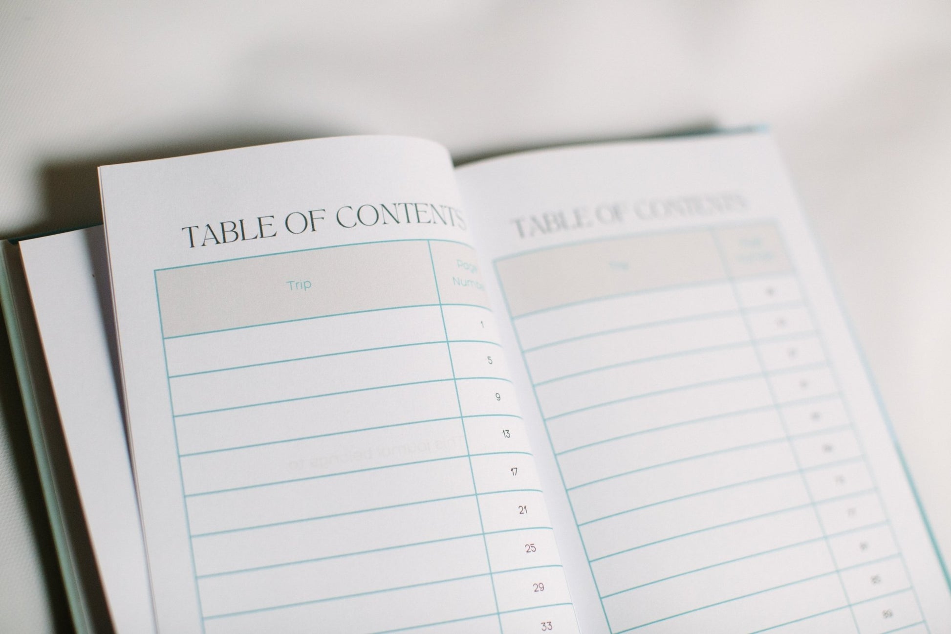 Trek & Treasure - Your Personal Travel Journal - Prep and Reflect
