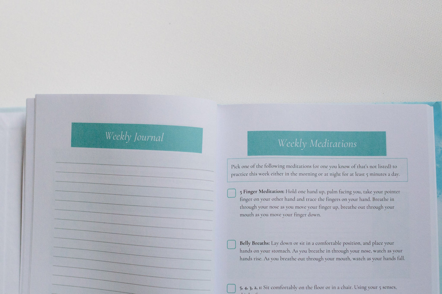 Meditate & Reflect - A Journal for Teachers (Lined Journal Pages) - Prep and Reflect