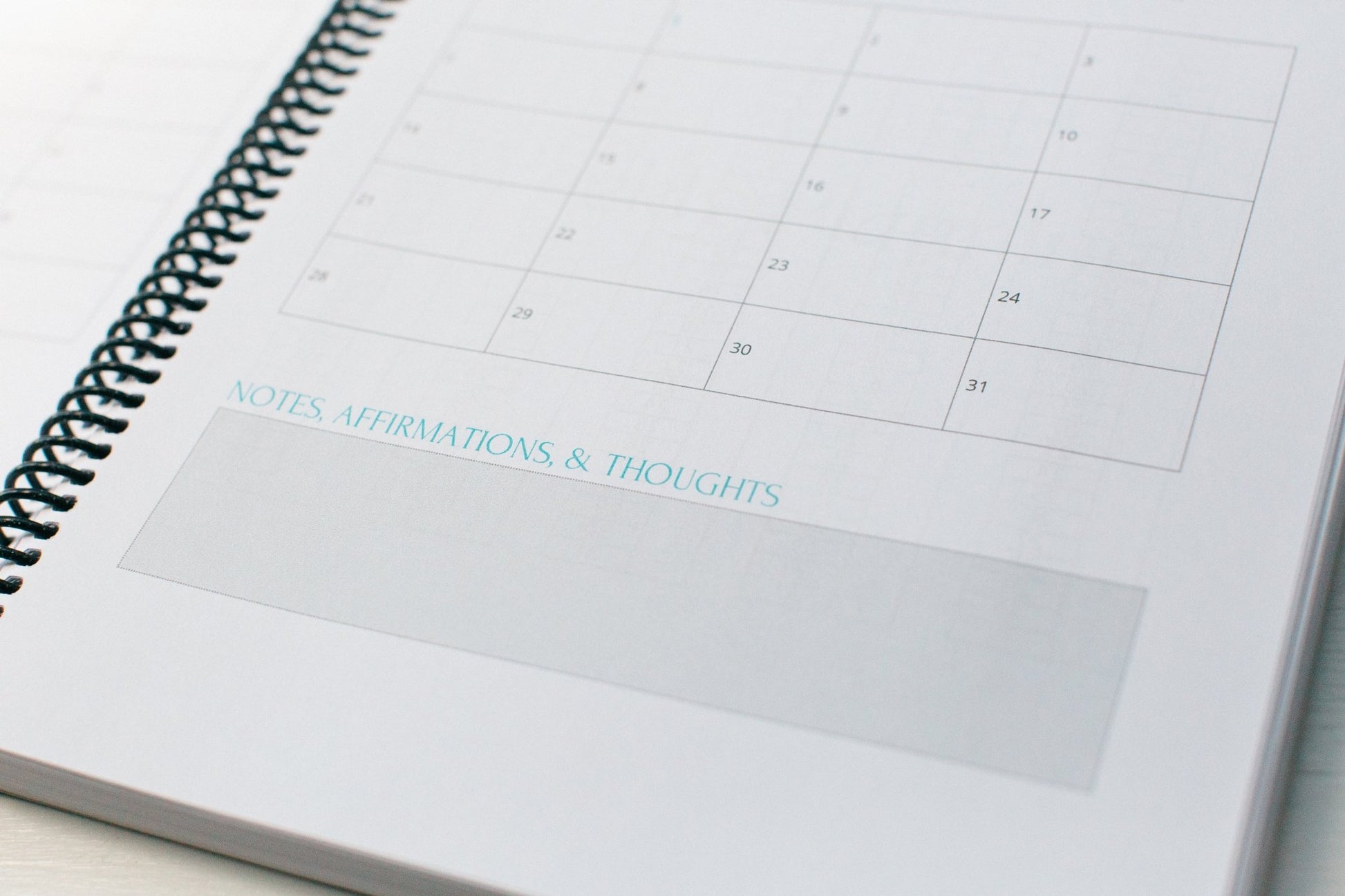 Monthly Full - Year Dated Planner - Prep and Reflect