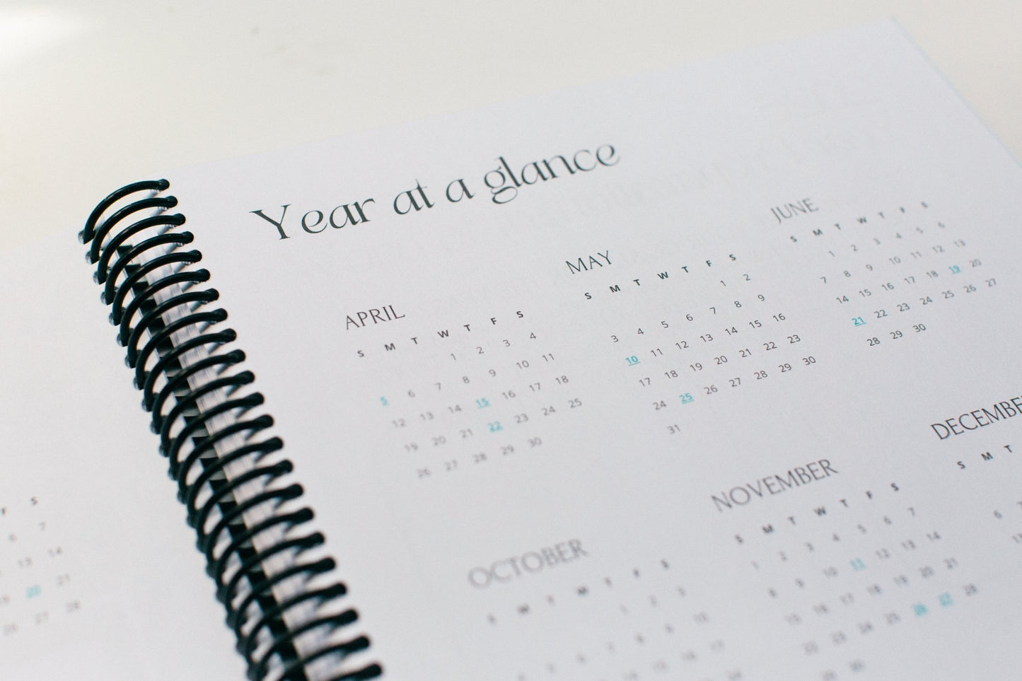 Monthly Full - Year Dated Planner - Prep and Reflect